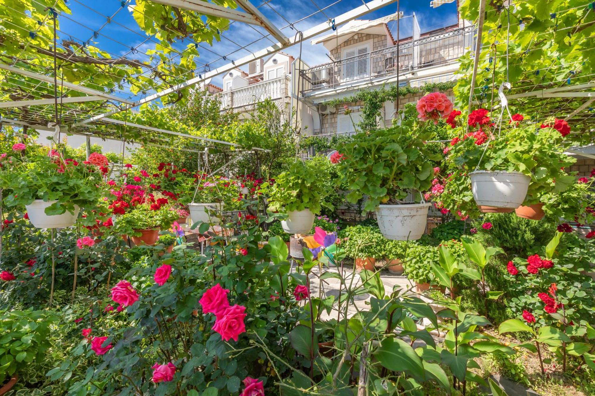 Apartmani Galic 2 Mlini Ngoại thất bức ảnh